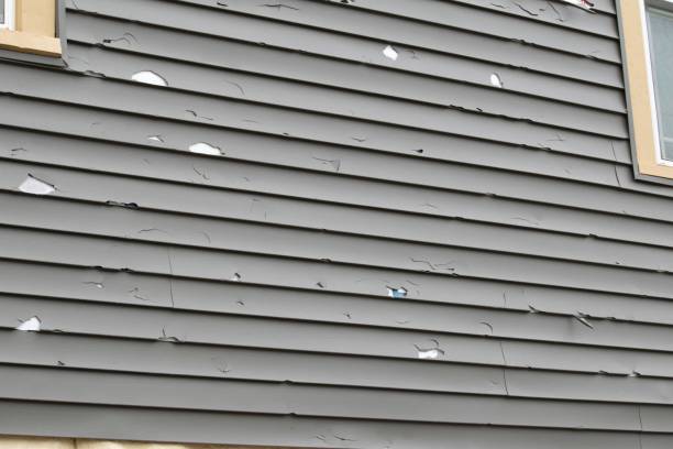 Best Siding Painting and Refinishing  in Wilber, NE